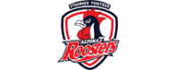 Symmetry-Physiotherapy-Altona-Roosters-Logo