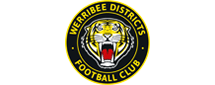 Symmetry-Physiotherapy-Werribee-Districts-FC-Logo